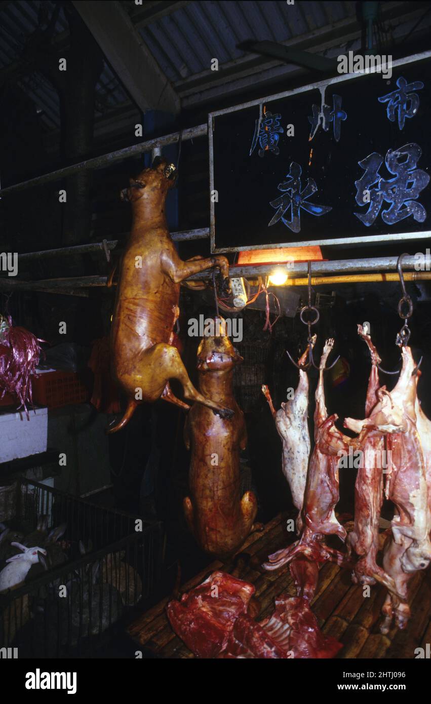 china guandxou quipin Markthunde Stockfoto