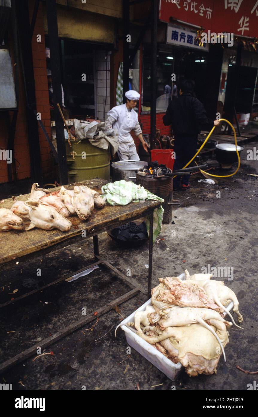 china hong kong guandxou quipin Markt Hunde Kopf Stockfoto