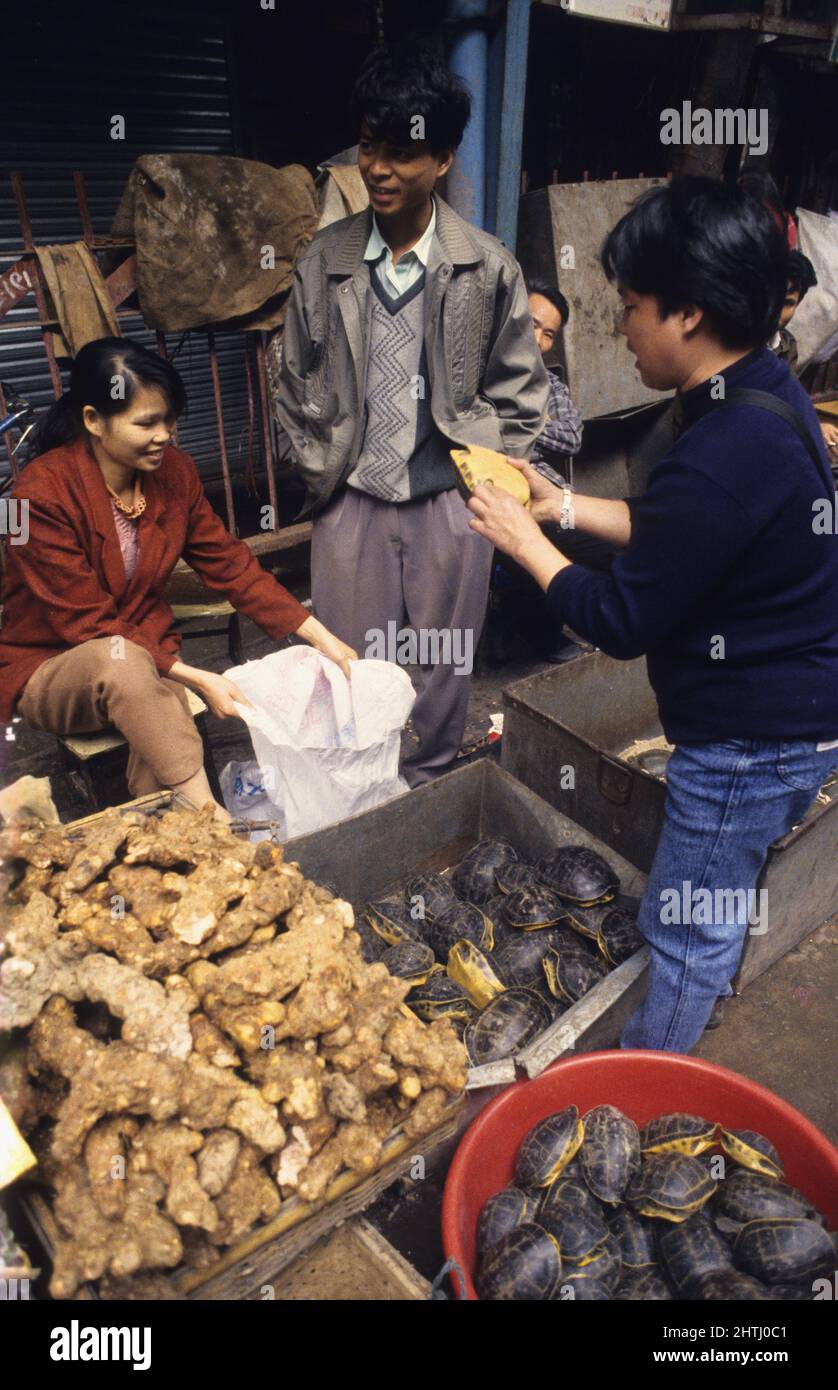 china hong kong Guandxou Chinping Markt trockene Tiere Stockfoto