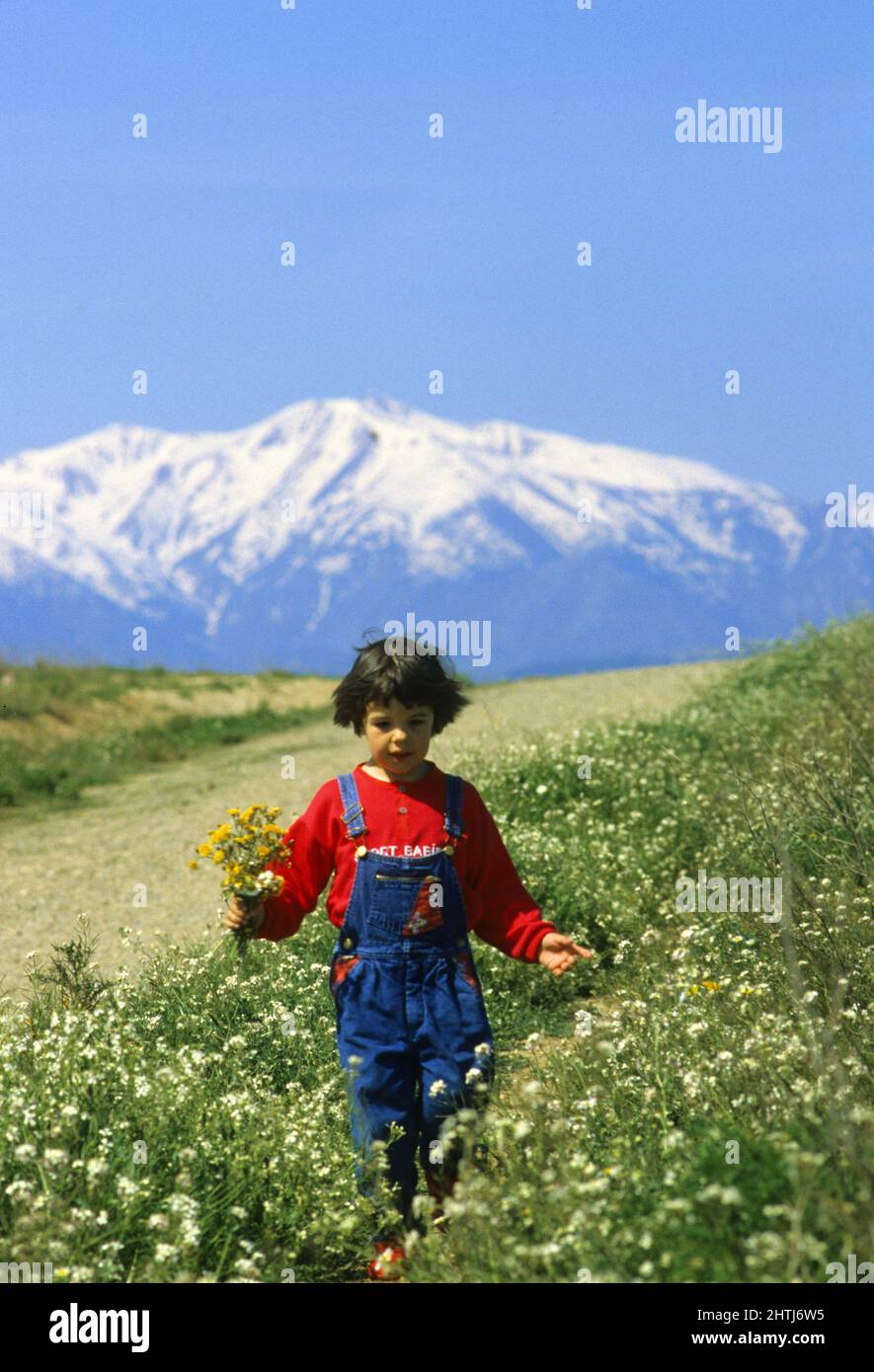 Kleines Mädchen mit Rucksack zu Fuß pflücken Blume Stockfoto