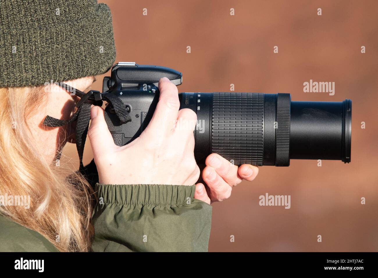 Eine Frau macht an einem kalten Wintertag ein Wildtierfoto. Sie trägt warme Kleidung und hält eine DSLR-Kamera mit langem Objektiv auf Augenhöhe. Drückt den Auslöser Stockfoto