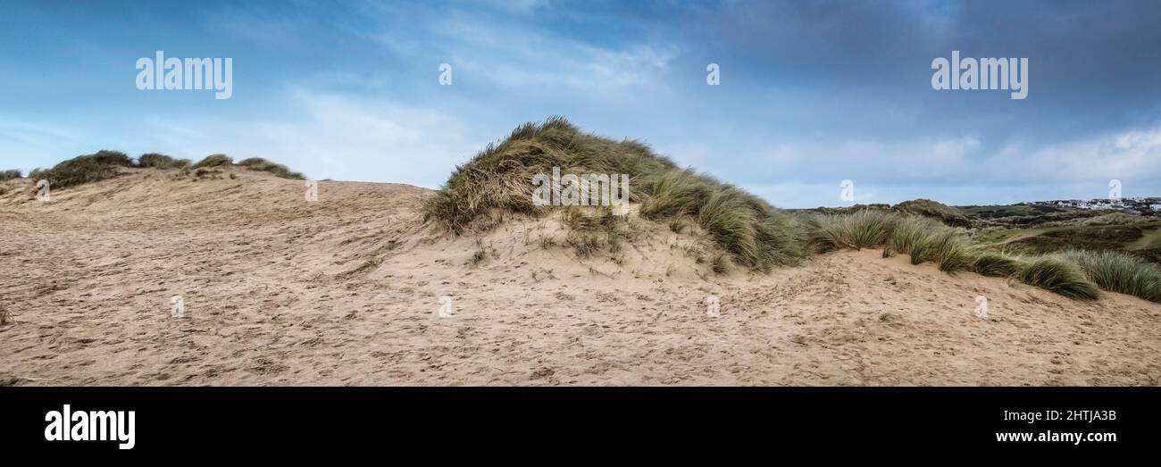 Ein Panoramablick auf die schweren Schäden, die durch menschliche Aktivitäten am empfindlichen Sanddünensystem am Crantock Beach in Newquay in Cornwall verursacht wurden. Stockfoto