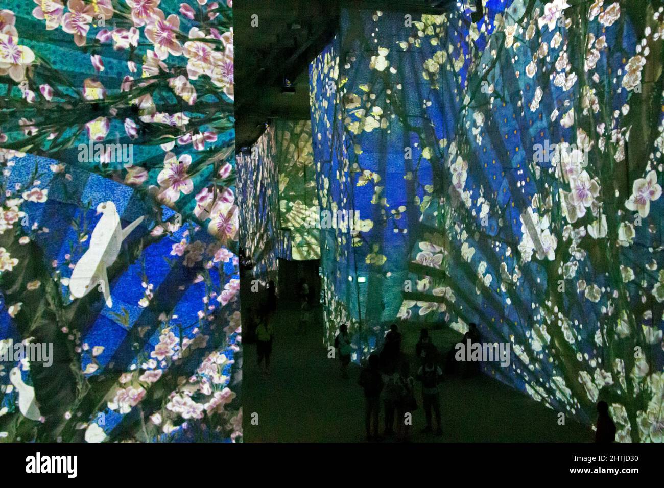 Immersive digitale Ausstellung in der monumentalen Carrieres des Lumieres. Screening: Dream Japan, Bilder der schwebenden Welt. Les Baux de Provence, Provence, Frankreich Stockfoto
