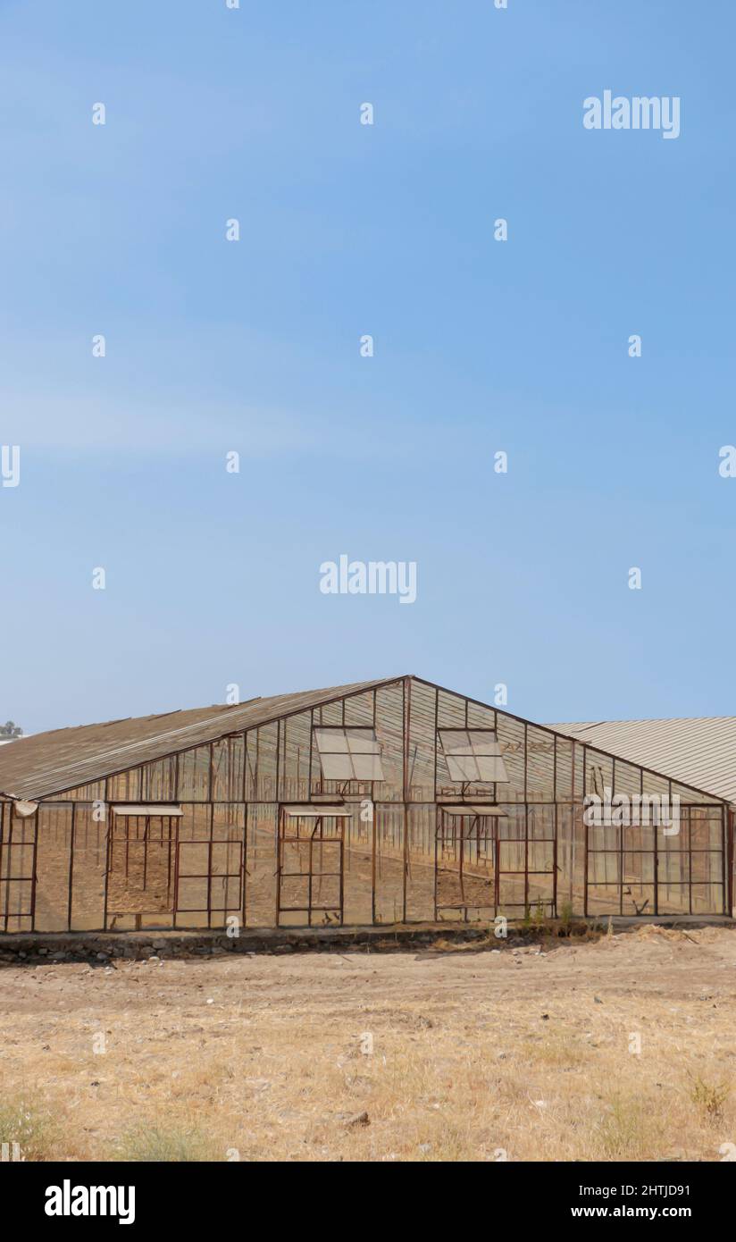 Flachdachgewächshäuser in den Sommersaison im Dorf. Stockfoto