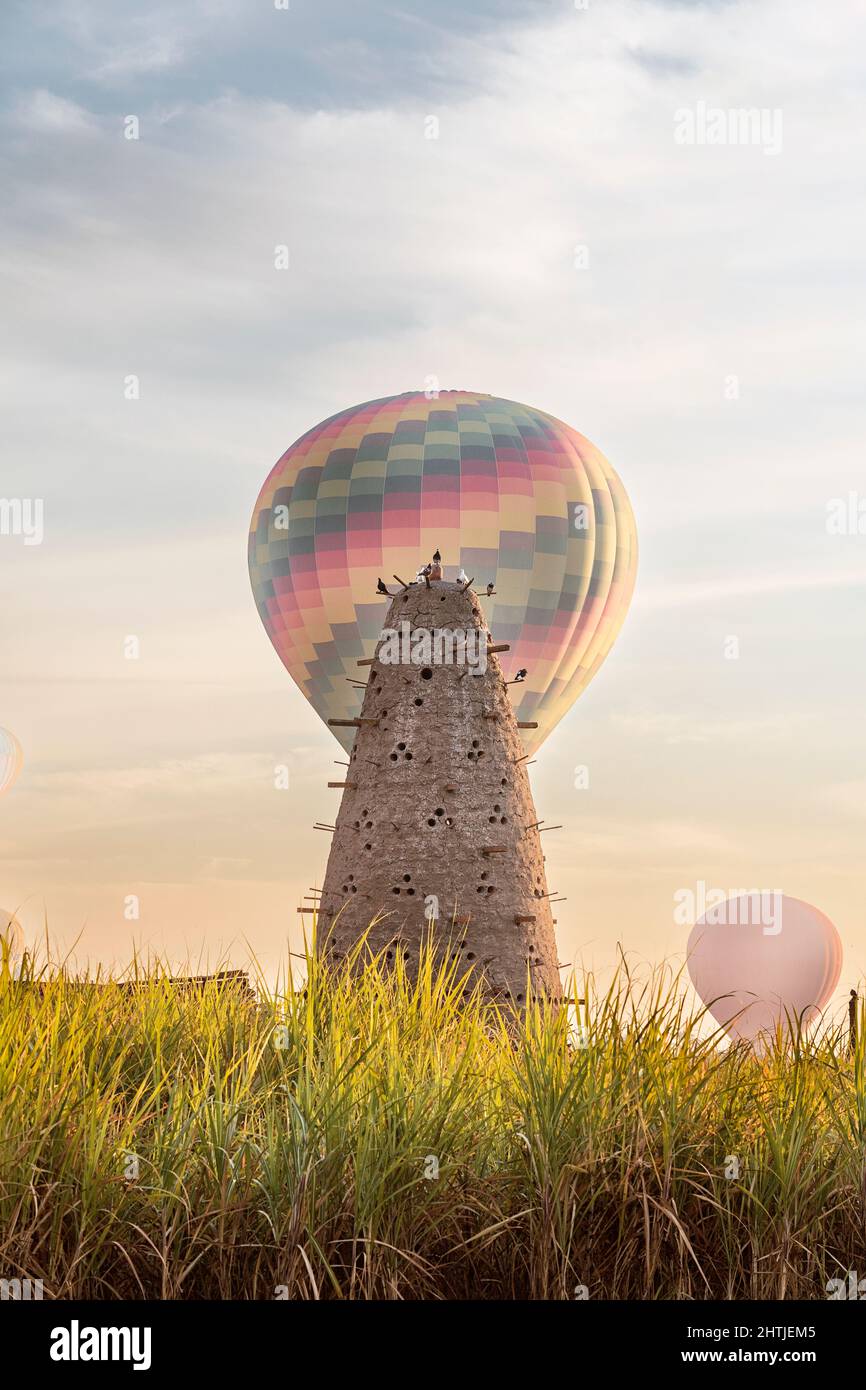 Hoher konischer Nesttaubenturm mit vielen Löchern auf grasbewachsenem Feld mit Luftballons in Ägypten am Sommertag Stockfoto
