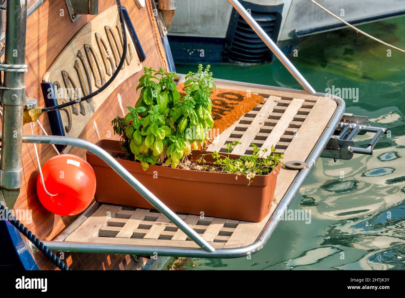 Topfkräuter auf dem Heck eines Segelbootes im Hafen, Giulianova, Italien Stockfoto