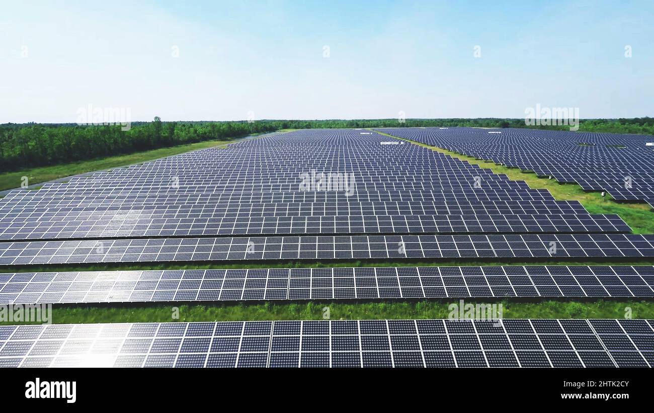 Schöne Luftaufnahme von Sonnenkollektoren auf Solarfarm während eines sonnigen Tages mit Pflanzen und Himmel im Hintergrund. Stockfoto