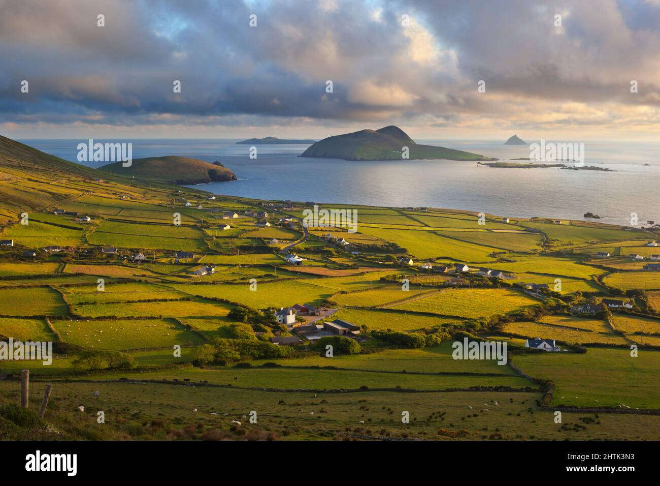 Blick über Blasket Sound auf die Blasket Islands und Slea Head, Dingle Peninsula, County Kerry, Irland Stockfoto