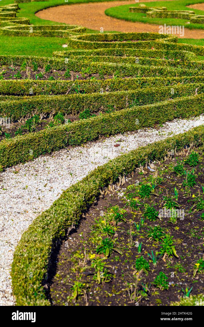 Nahaufnahme eines Ziertopiars im French Parterre Garden, Wrest Park, Bedfordshire, Großbritannien Stockfoto