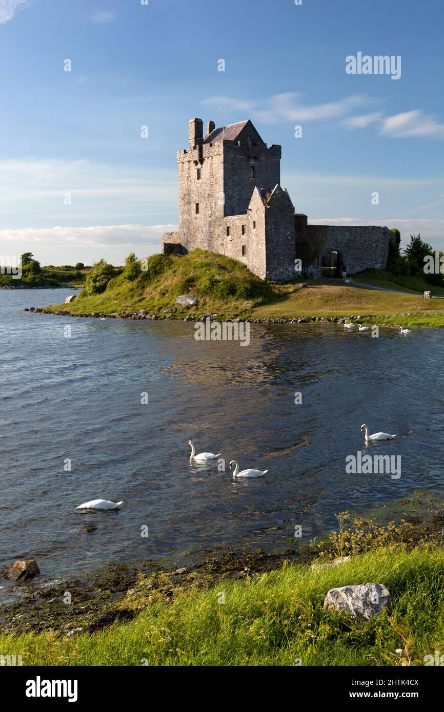 Dunguaire Castle (erbaut 1520), Kinvarra, County Galway, Irland Stockfoto