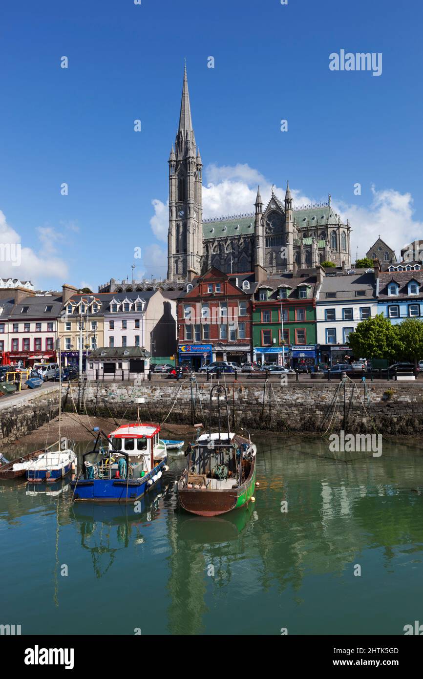 Blick über den Fischerhafen zur St Colman's Cathedral, Cobh, County Cork, Irland Stockfoto