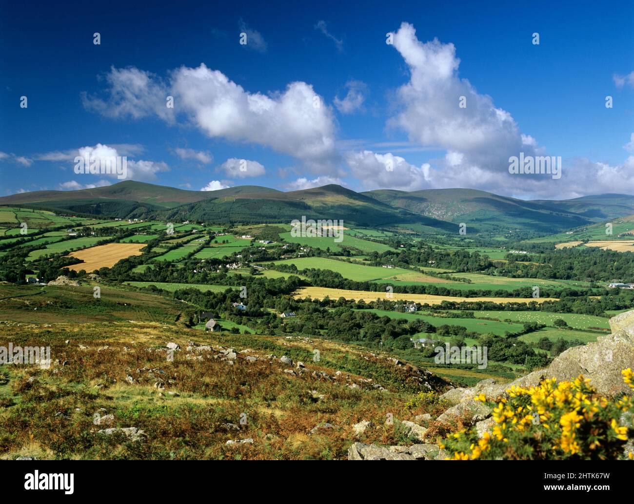 Blick über die Wicklow Mountains in der Nähe von Roundwood, County Wicklow, Irland Stockfoto