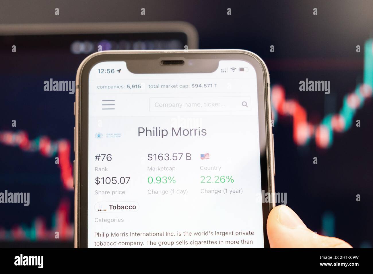 Philip Morris Aktienkurs auf dem Bildschirm des Mobiltelefons in mans Hand mit wechselnder Börse mit Trading Candlestick Graph Analyse, Februar 2022, San Francisco, USA Stockfoto
