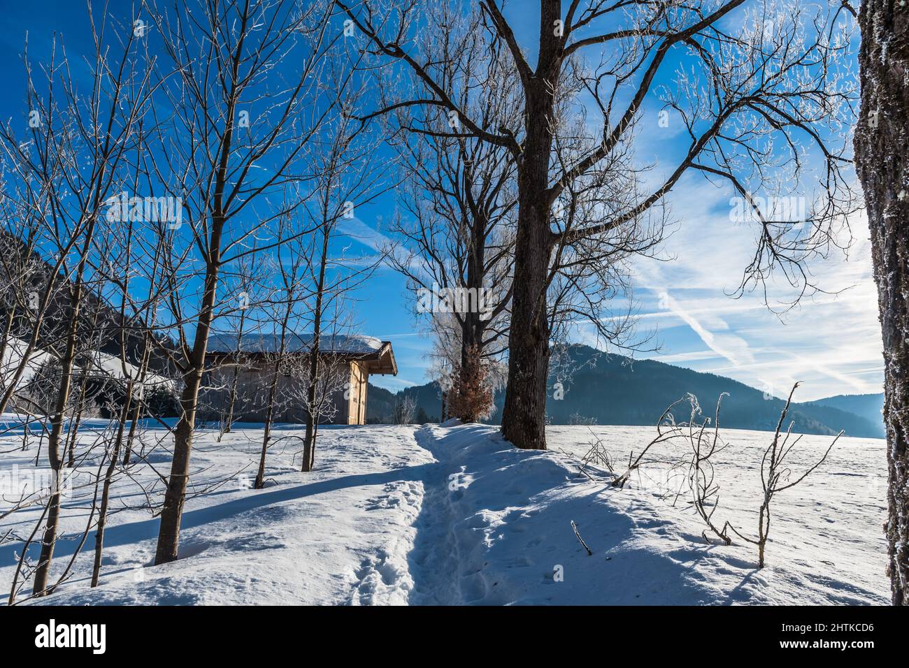 Fußweg in einer verschneiten Landschaft an einem sonnigen Wintermorgen Stockfoto