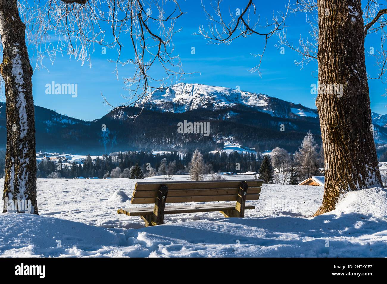 Bank in einer verschneiten Landschaft an einem sonnigen Wintermorgen Stockfoto