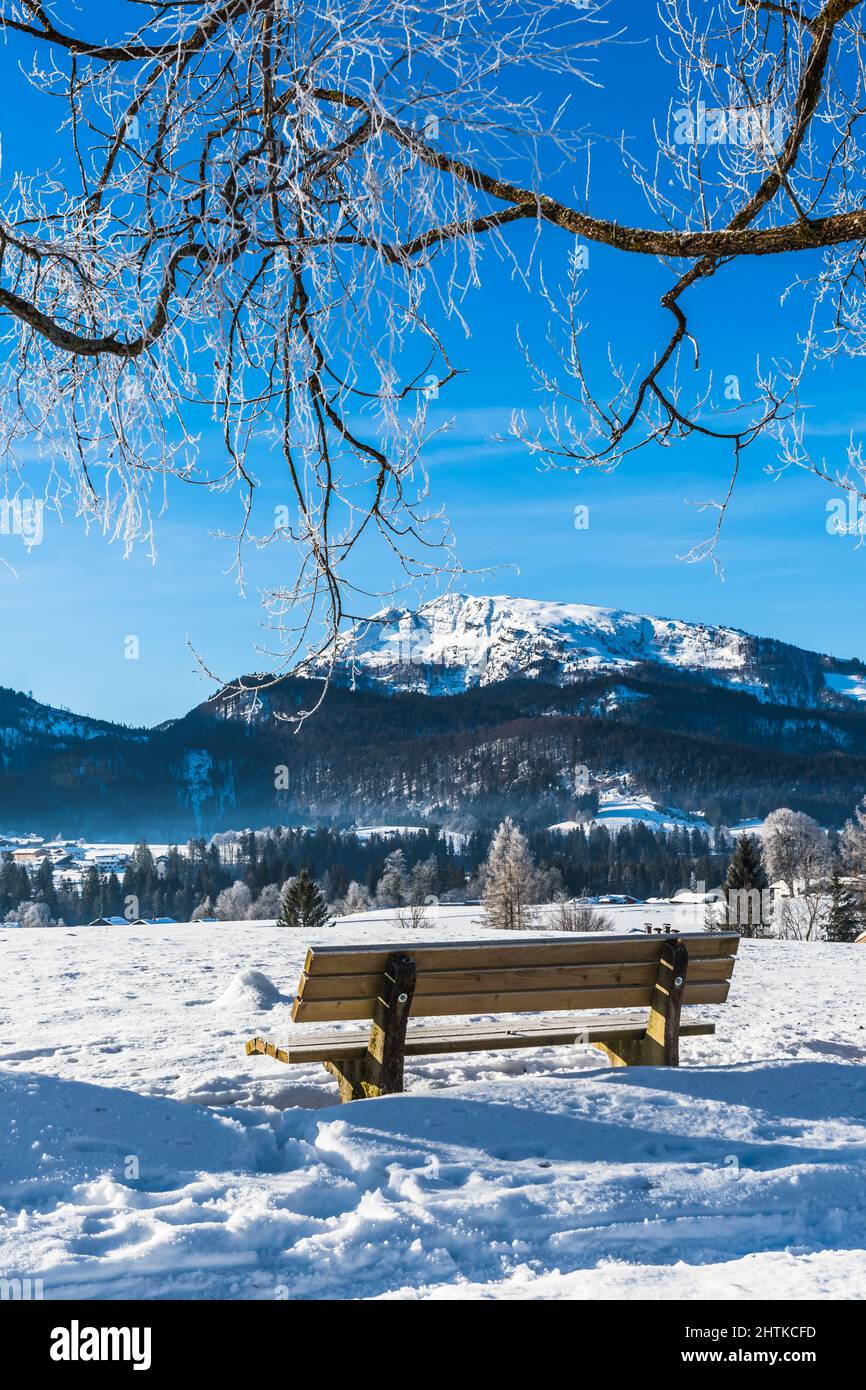 Bank in einer verschneiten Landschaft an einem sonnigen Wintermorgen Stockfoto