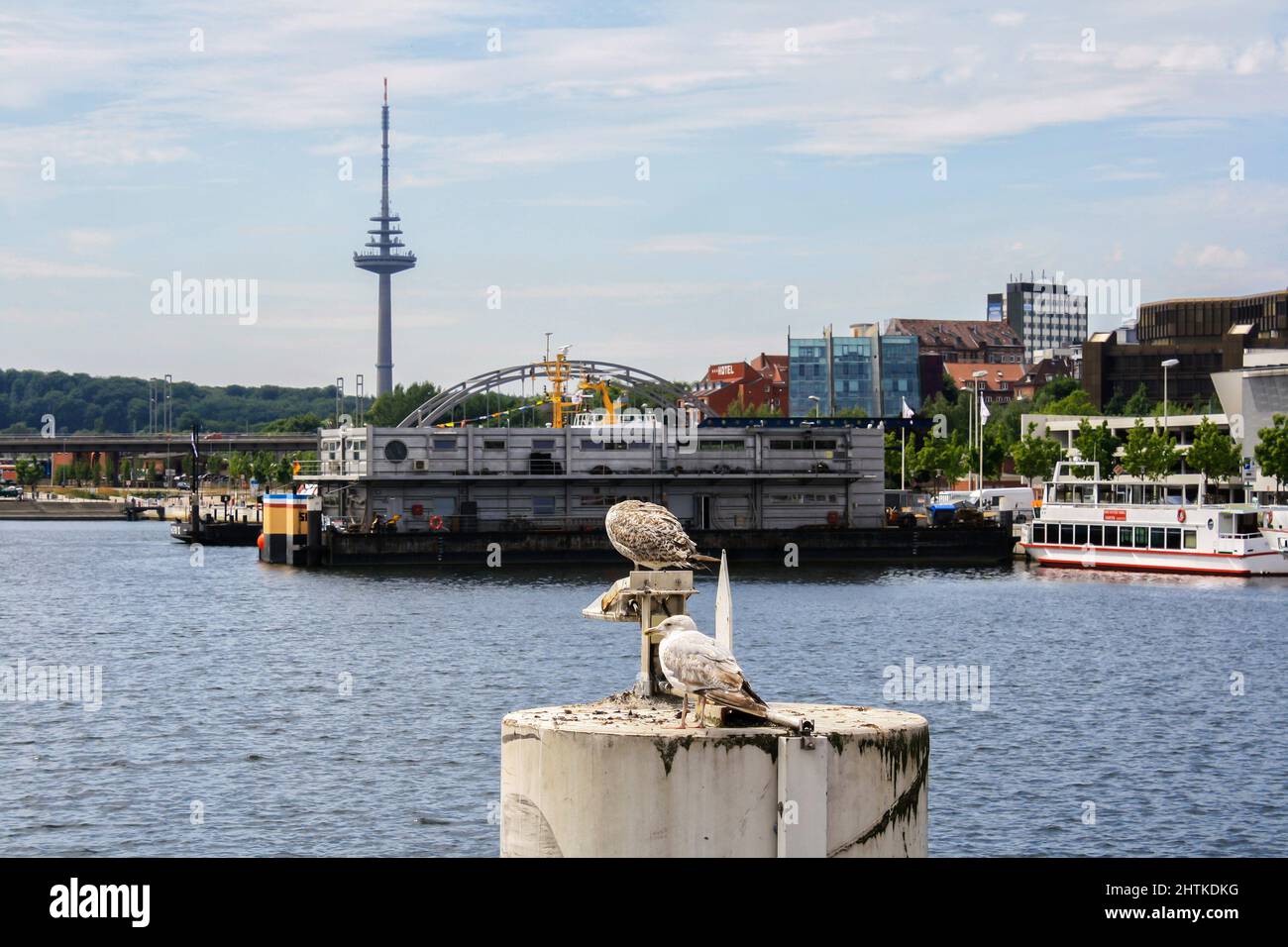 Möwen an der Hörn-Brücke am Kieler Hafen im Sommer mit Kieler Turm im Hintergrund. Keine Personen. Stockfoto