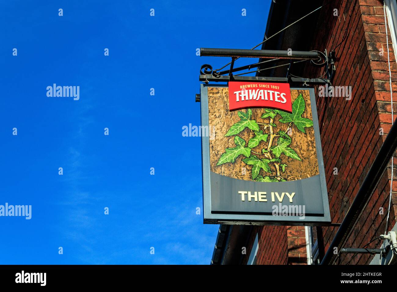 Die Ivy. Krankenstraße. Blackburn, Lancashire. Stockfoto