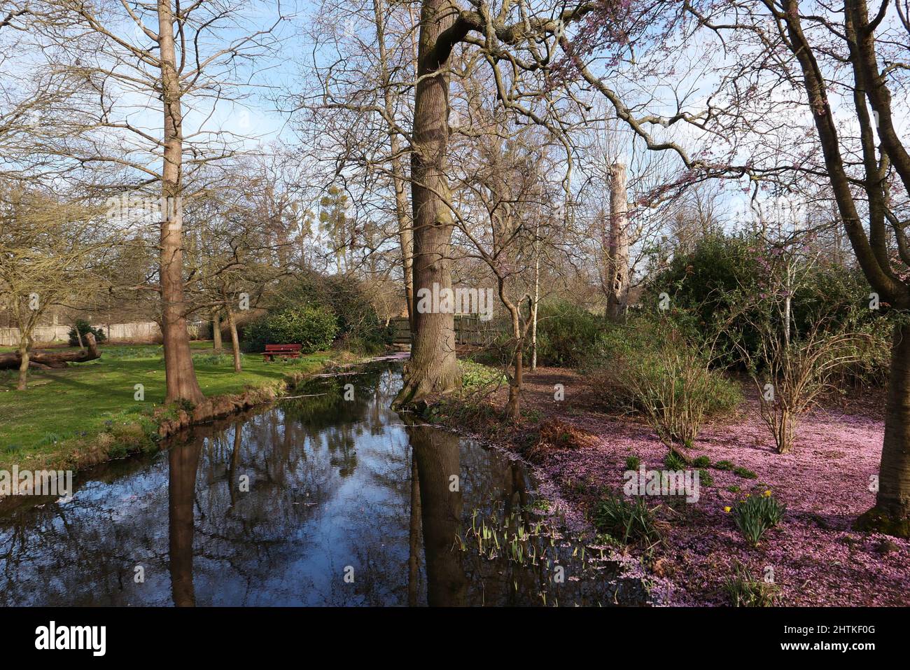 Die Landschaft des Bushy Parks ist ein Flickenteppich englischer Geschichte, die sich über ein Jahrtausend erstreckt: Sie können die Überreste mittelalterlicher Landwirtschaftssysteme, das Erbe eines Tudor-Wildparks, Wassergärten aus dem 17.. Jahrhundert und dekorative Elemente sehen, die den Höhepunkt des neoklassizistischen Geschmacks darstellen, sowie Spuren von Militärlagern, die in den Weltkriegen eine bemerkenswerte Rolle spielten. Stockfoto