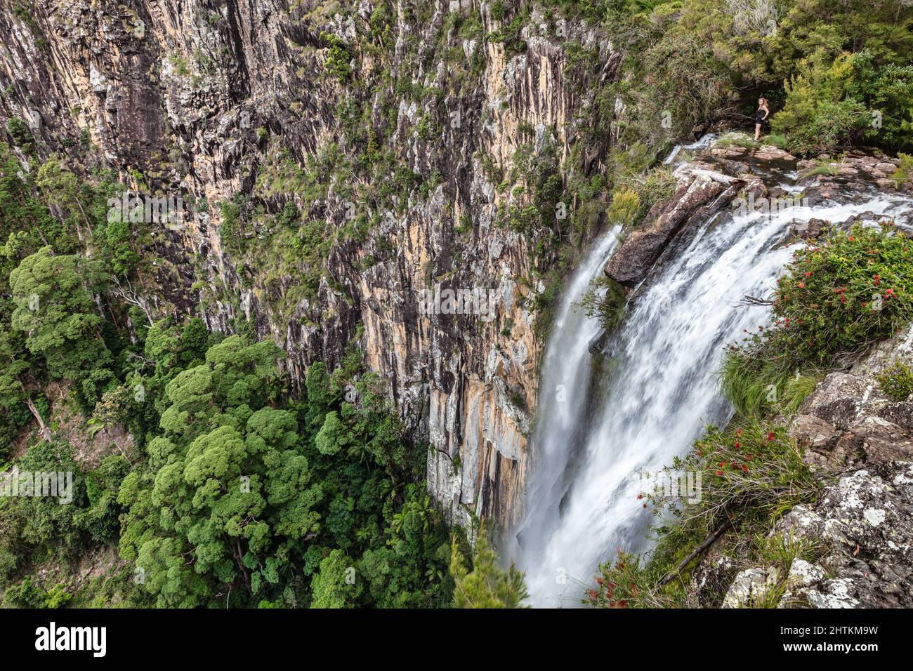 Das junge Mädchen blickt über die Minyon Falls in New South Wales, Australien. Stockfoto