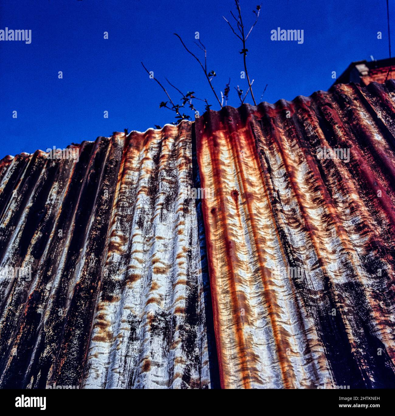 Bunt verrostete Wellblechfolie, die in einen blauen Himmel zeigt, fand ein abstraktes Stillleben Stockfoto