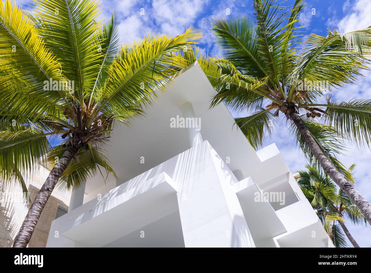 Abstrakter architektonischer Hintergrund mit weißem Betonhaus außen Fragment und Palmen unter blau bewölktem Himmel Stockfoto