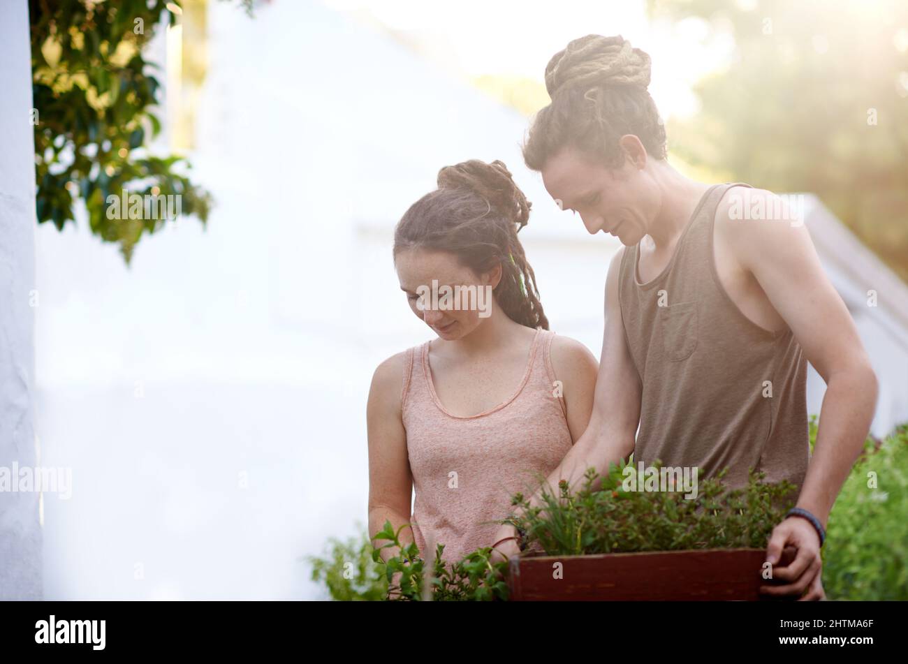 Beobachten, wie ihre Liebe wächst. Aufnahme eines glücklichen jungen Paares, das einen Tag im Garten verbringen kann. Stockfoto