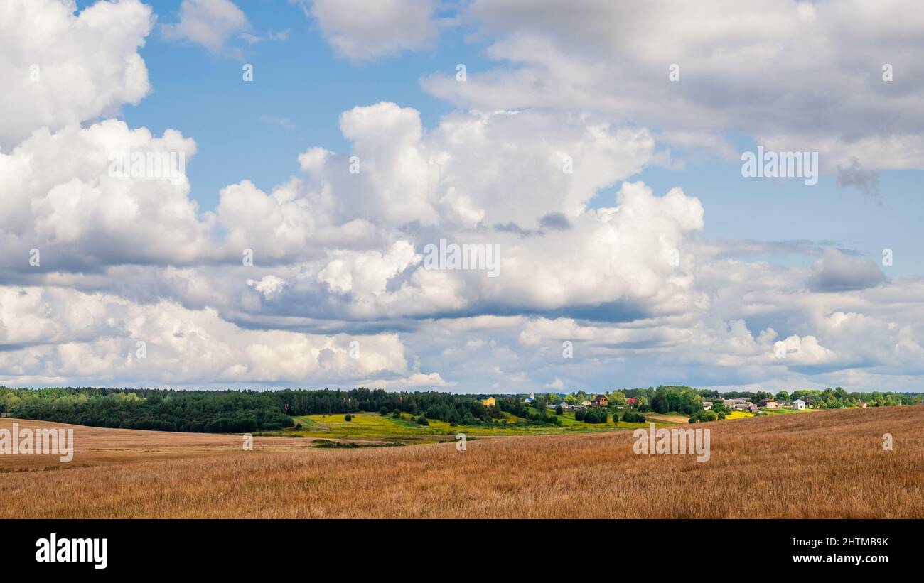 August-Landschaft. Große Kumuluswolken am blauen Himmel über einem frisch gemähten Feld. Stockfoto
