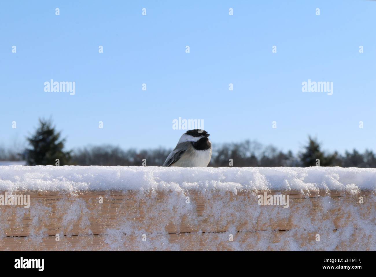 Minnesota Schnee Stockfoto