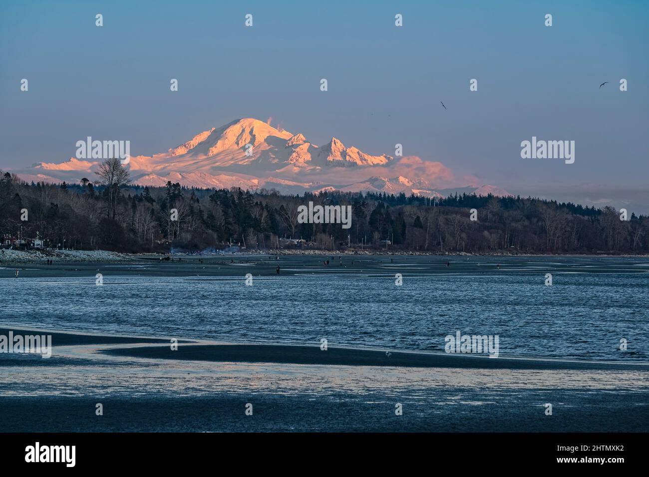 Mount Baker aus Semiahmoo Bay, White Rock, British Columbia, Kanada Stockfoto
