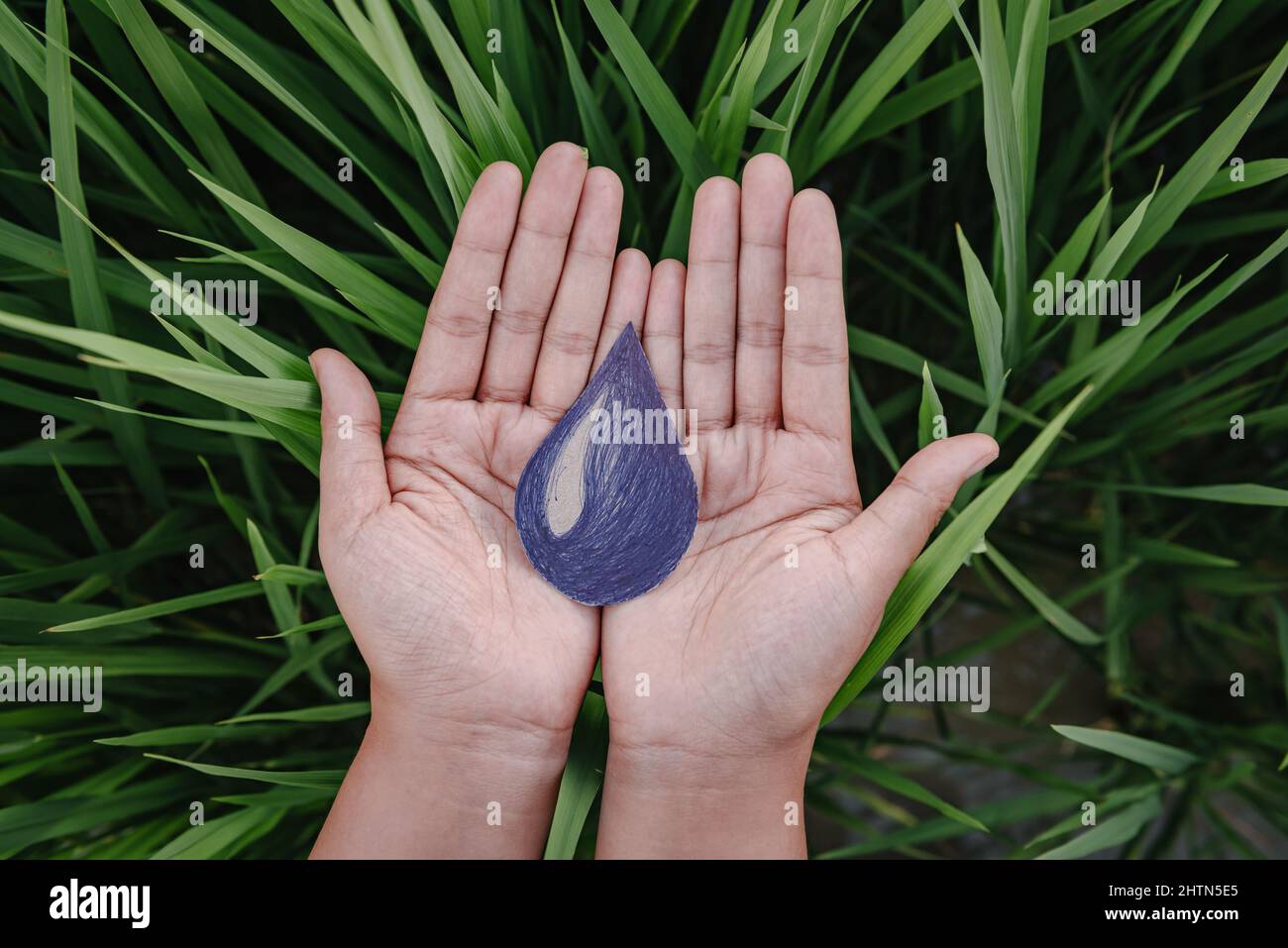 Water World CSR für nachhaltige Lebensstile Konzept, Wasser sparen und Umwelt für nachhaltige Ressource. Weibliche Hände, die das Wassertropfensymbol auf der Gras halten Stockfoto