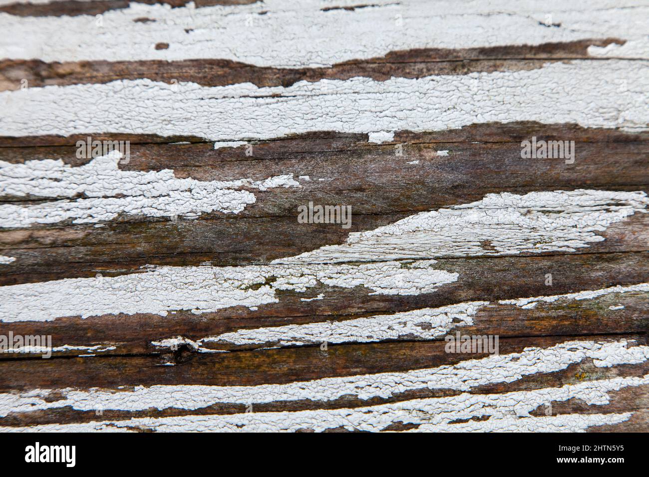 Abstrakt Braun Holz Textur Hintergrund Grunge Verwitterte Flocking White Paint Stockfoto