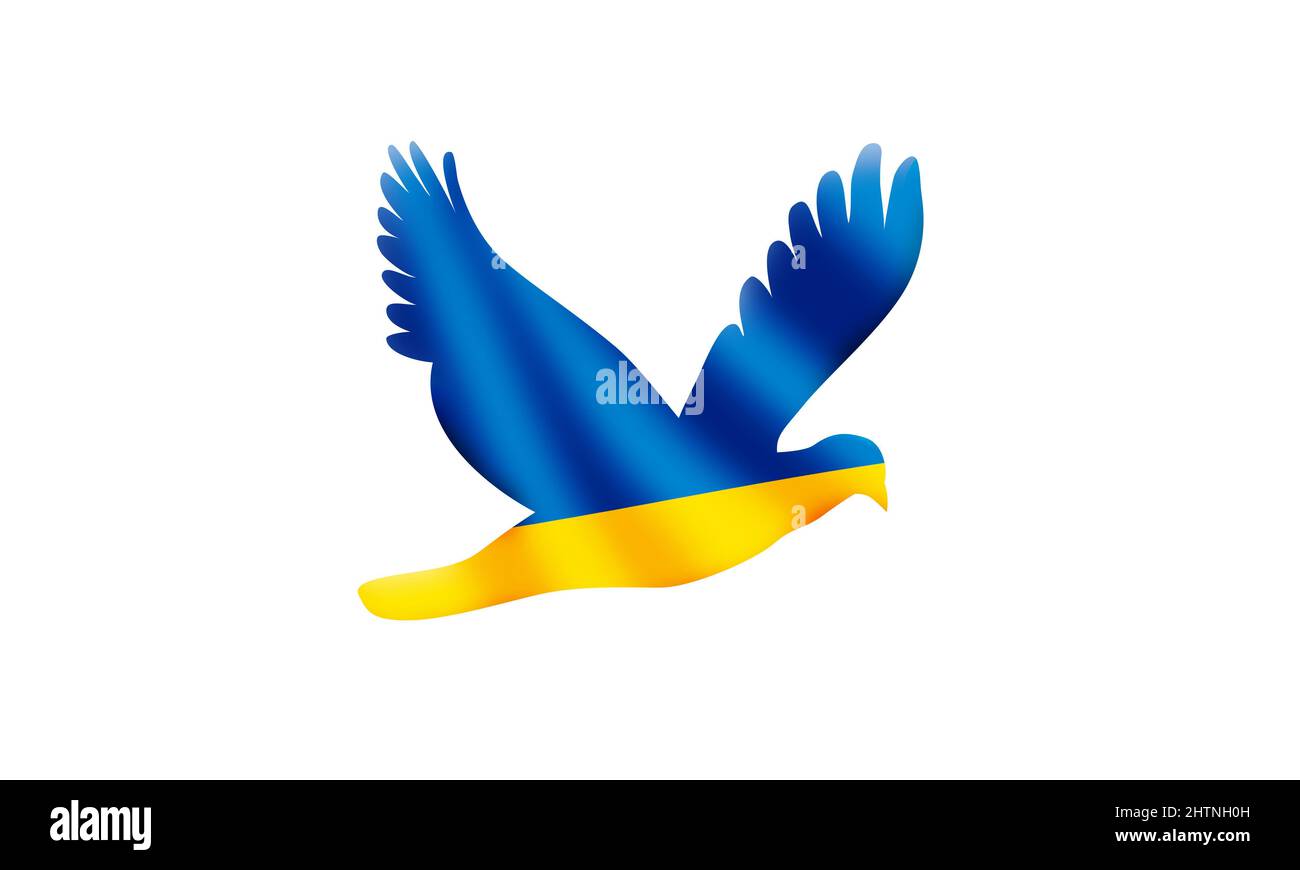 Ukraine Freiheit und Frieden mit Russland Invasion . Fliegende Taube mit ukrainischer Flagge auf weißem Hintergrund. Ukraine Liberty-Konzept Stockfoto
