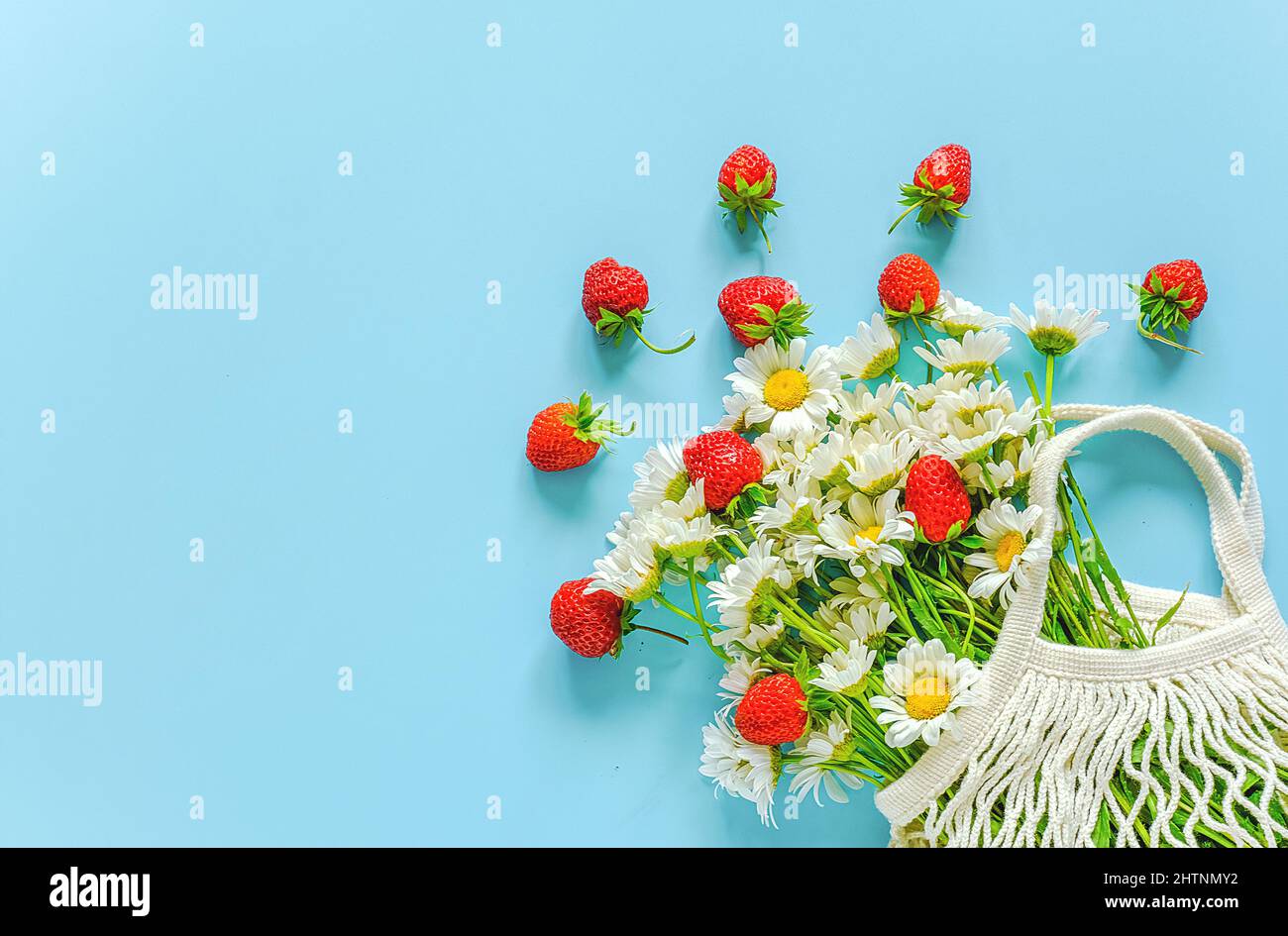 Bouquet von Feldblumenstrauß im wiederverwendbaren Einkaufstasche aus Öko-Mesh und roten Erdbeeren auf blauem Hintergrund. Konzept kein Kunststoff und kein Abfall. Platz oben kopieren Stockfoto