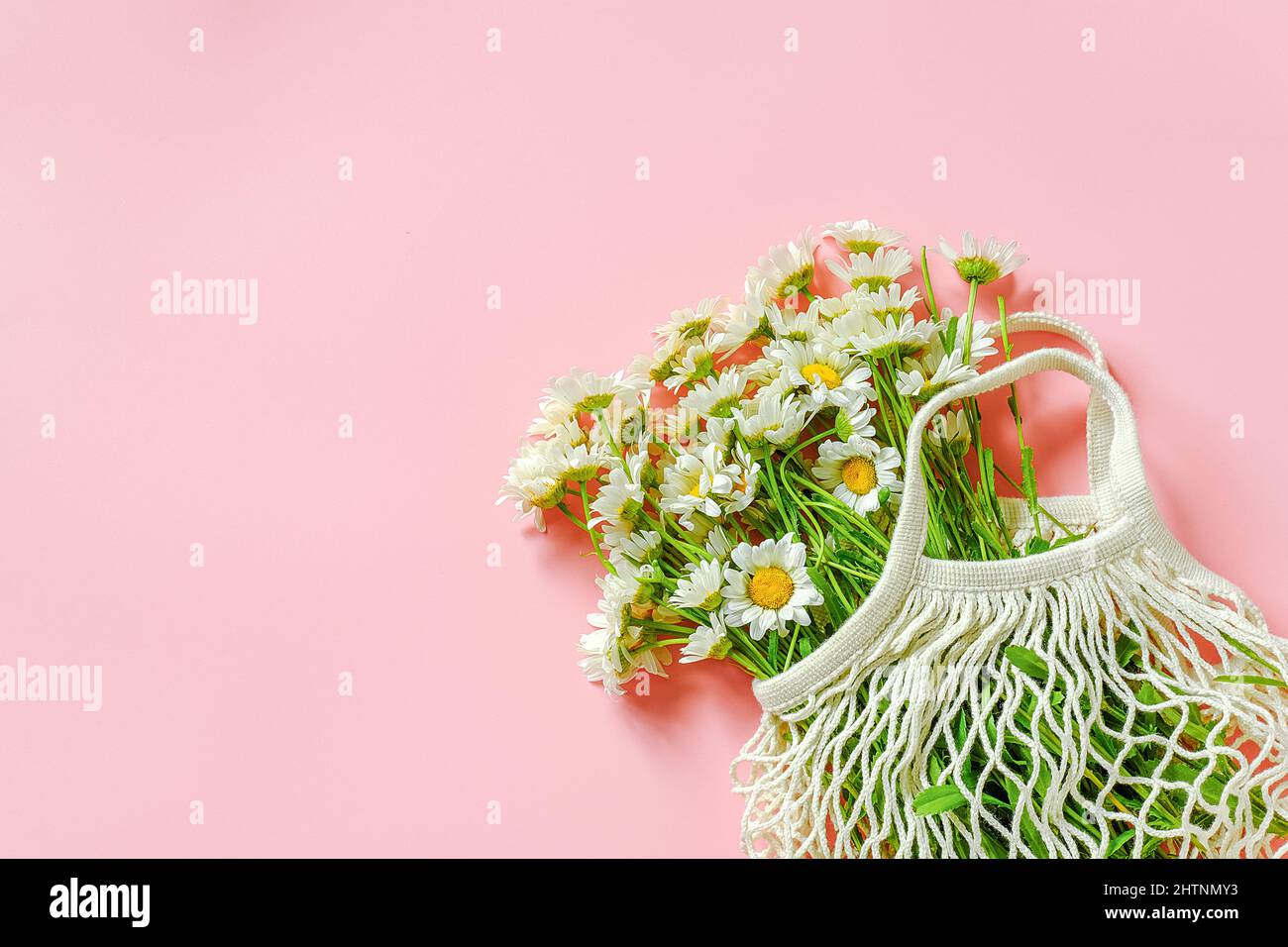 Bouquet von Feldblumensträuße in wiederverwendbaren Shopping Öko Netzbeutel auf rosa Hintergrund. Konzept kein Kunststoff und kein Abfall. Kopierbereich Ansicht oben. Stockfoto