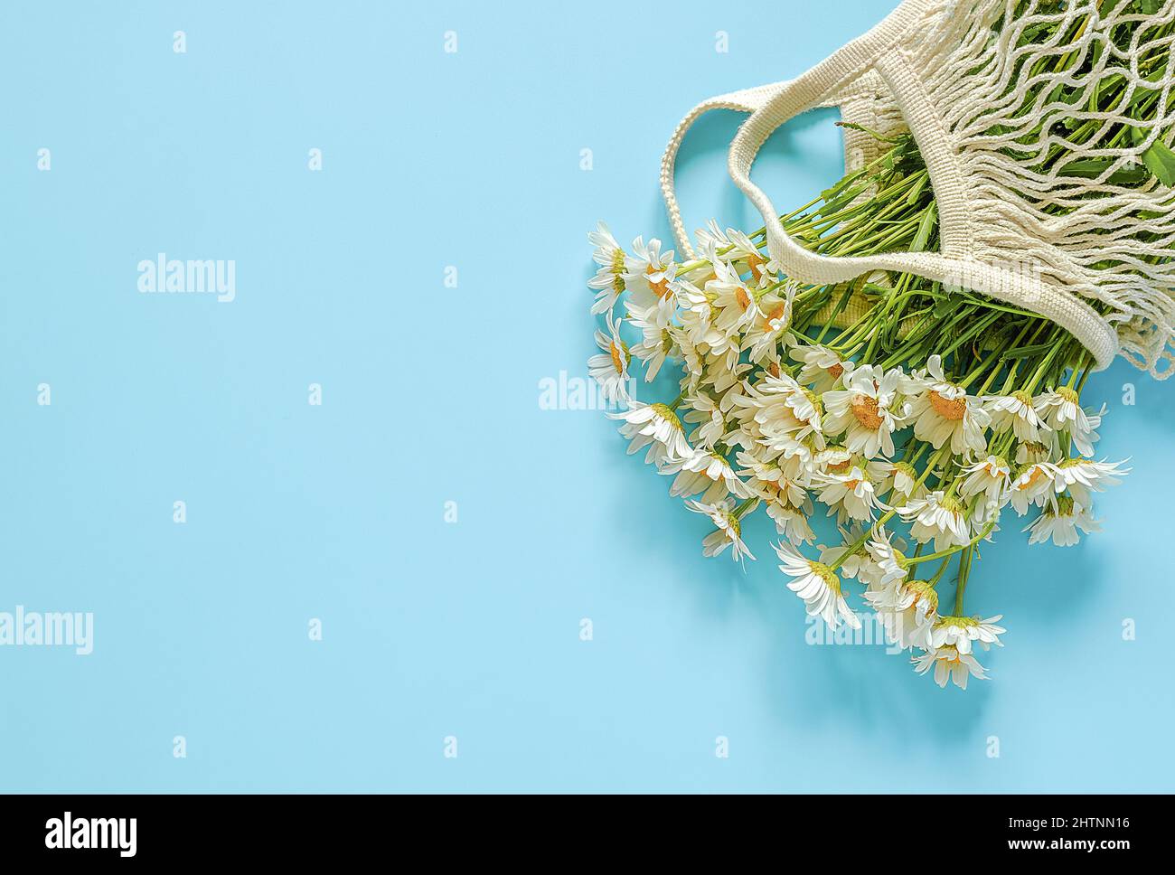 Bouquet von Feldblumenstrauß in wiederverwendbaren Einkaufstasche aus Öko-Mesh auf blauem Hintergrund. Konzept kein Kunststoff und kein Abfall. Platz kopieren Draufsicht. Stockfoto