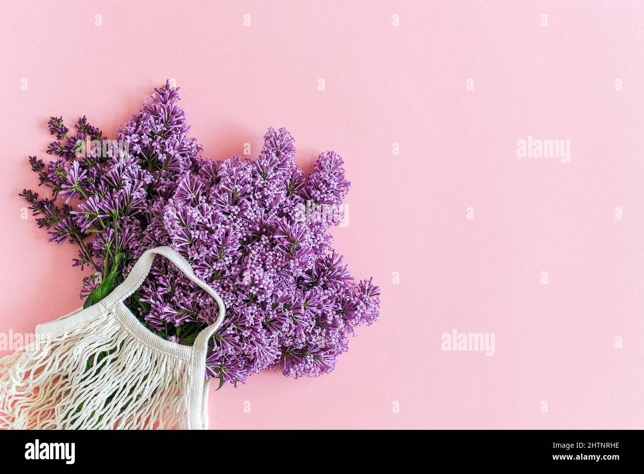 Hallo Frühling. Helles Bouquet von Flieder in weißen wiederverwendbaren Shopping Eco Mesh Tasche auf rosa Hintergrund. Konzept kein Kunststoff, kein Abfall. Platz kopieren Draufsicht Stockfoto