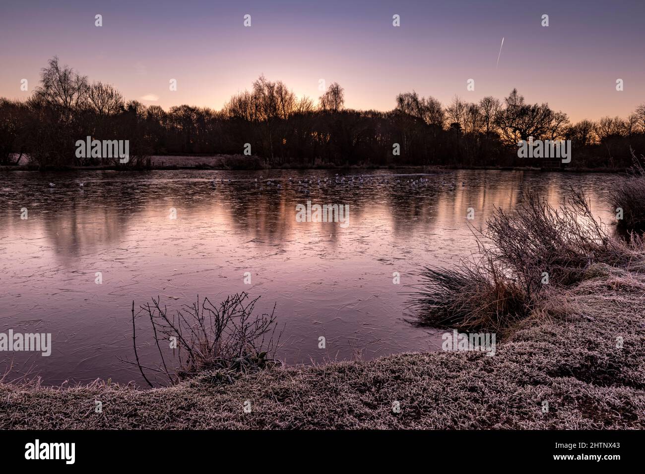 Ein gefrorener eisiger See kurz vor Sonnenaufgang. Bulwell Hall Park Nottingham England Großbritannien Stockfoto