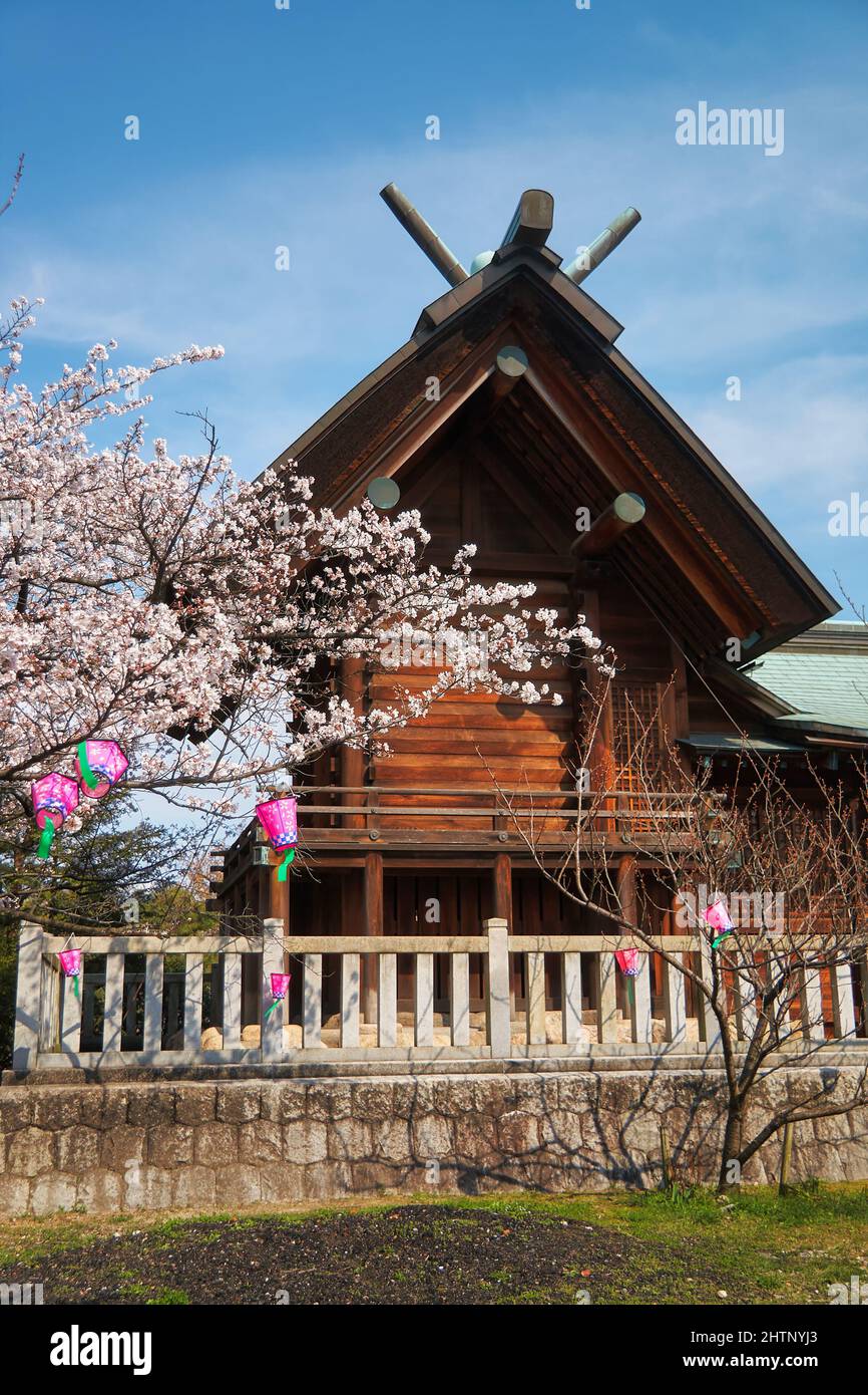 Der Blick auf das Kirschblütenfest (Hanami) am Nagoya-Zweig des Chiyo Inari Shrine. Nagoya. Japan Stockfoto