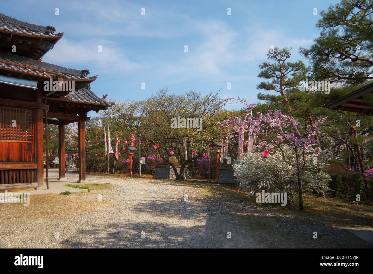 Der Blick auf das Kirschblütenfest (Hanami) am Nagoya-Zweig des Chiyo Inari Shrine. Nagoya. Japan Stockfoto