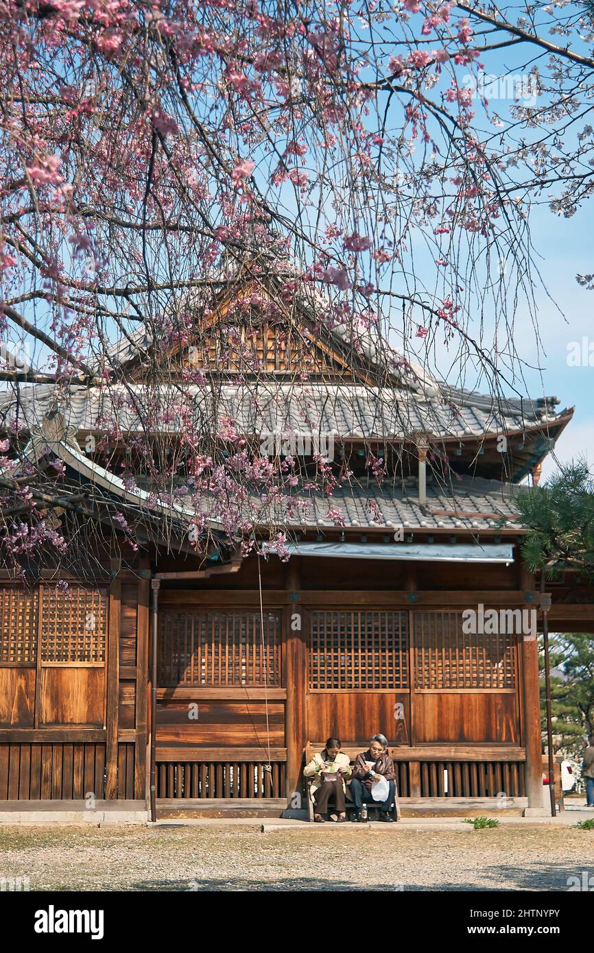 Nagoya, Japan - 29. März 2008: Der Blick auf das Kirschblütenfest (Hanami) im Tamotsu Chiyo Inari Shrine Nagoya Branch. Nagoya. Japan Stockfoto