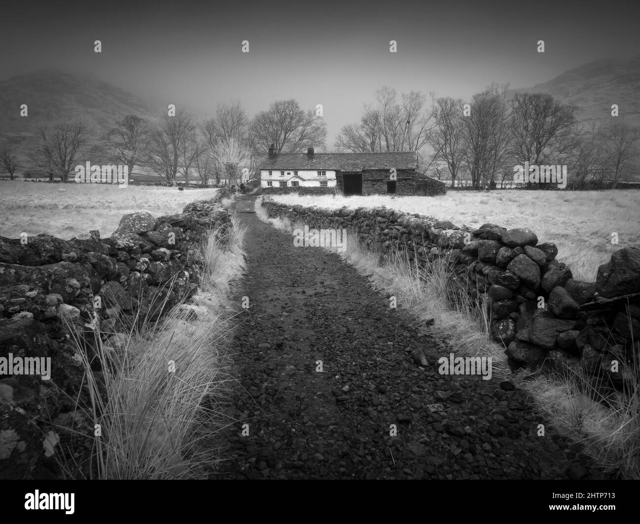 Eine Infrarotaufnahme eines rauen Tracks, der zu einer Hütte und Scheune im Little Langdale Valley, Lake District National Park, Cumbria, England führt. Stockfoto