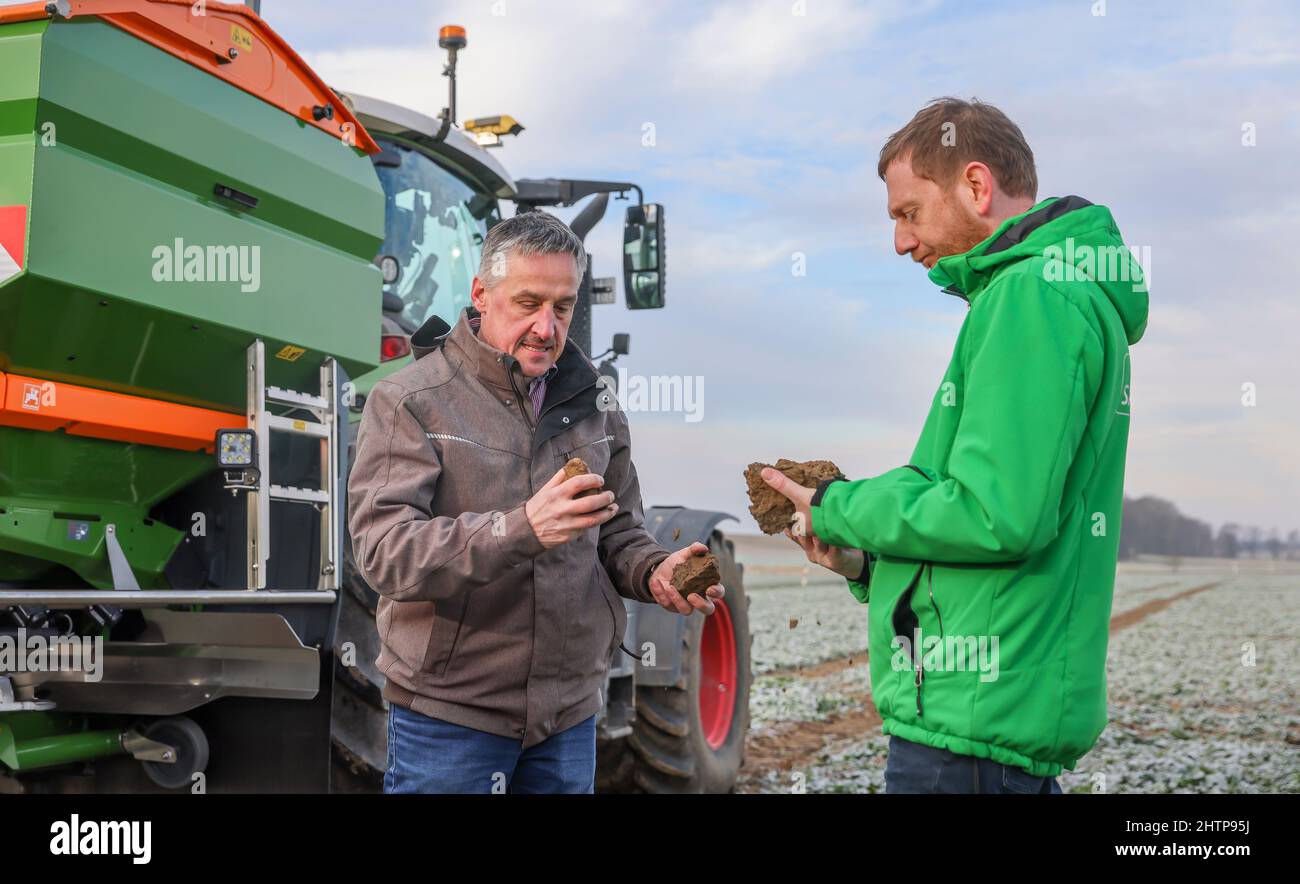 dünger für glücksbambus Glücksbambus-Flüssigdünger main image 0