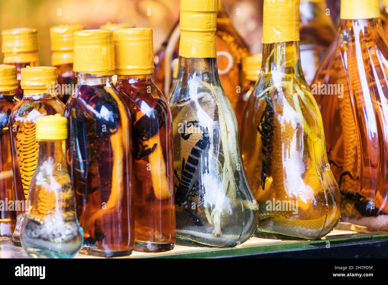 Flaschen mit Schlangen und Skorpionen im Straßenladen. Stockfoto