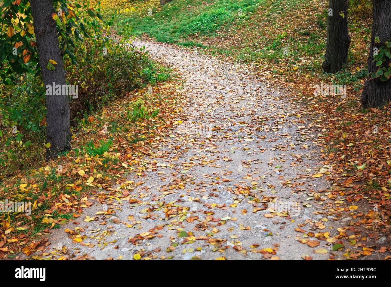 Pfad in einem wunderschönen Herbstpark Stockfoto