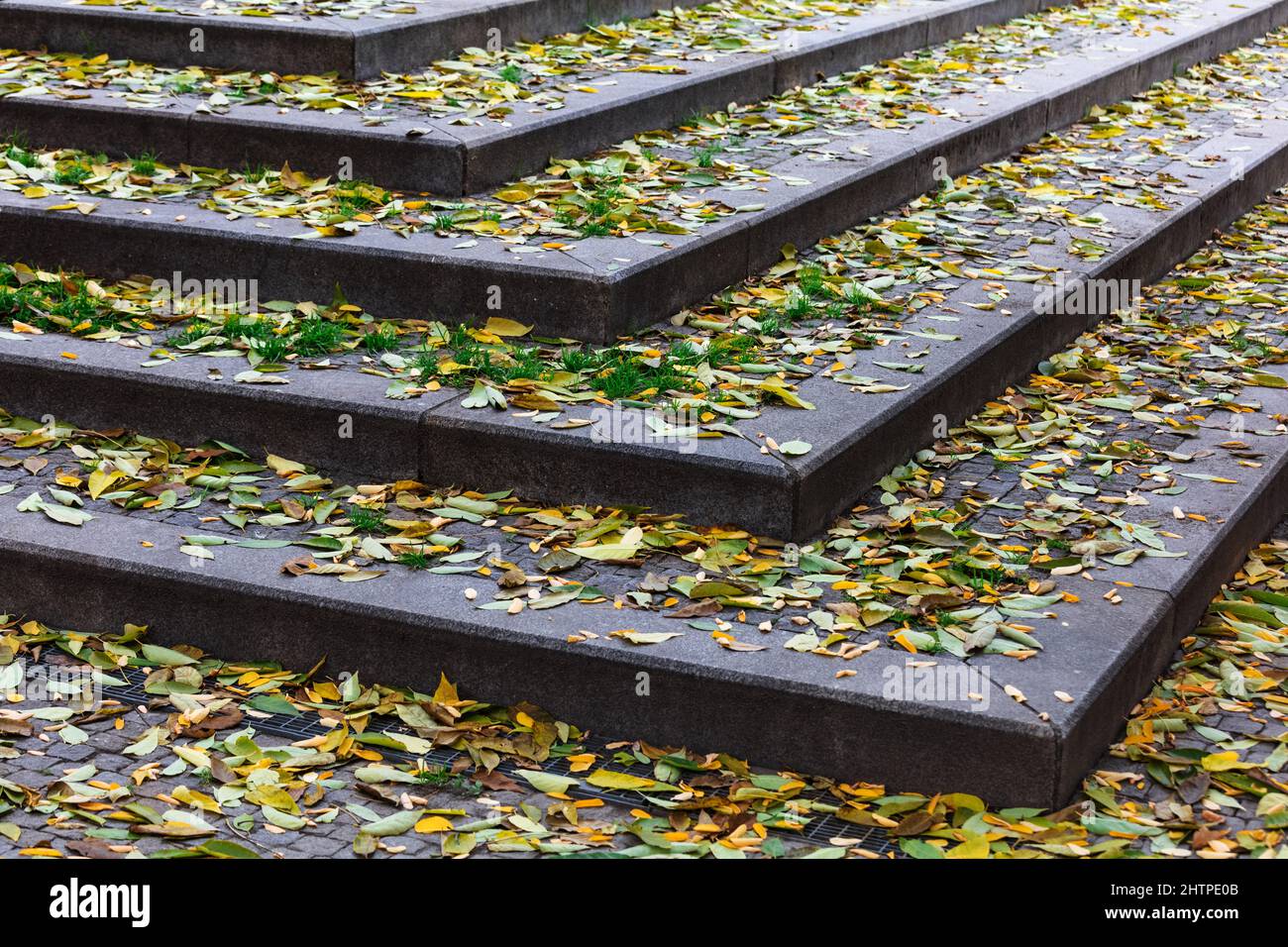 Blätter und Treppen an einem Herbsttag Stockfoto