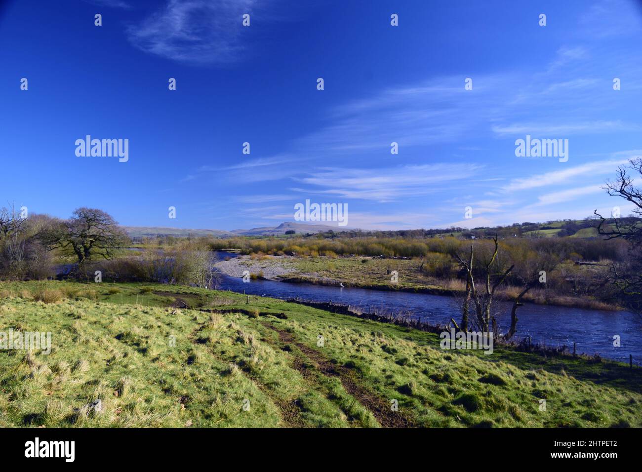 Erster Frühlingstag 1. März 2022 und ein Spaziergang entlang des Flusses Lune North Lancashire in Frühlingssonne gebadet. Stockfoto