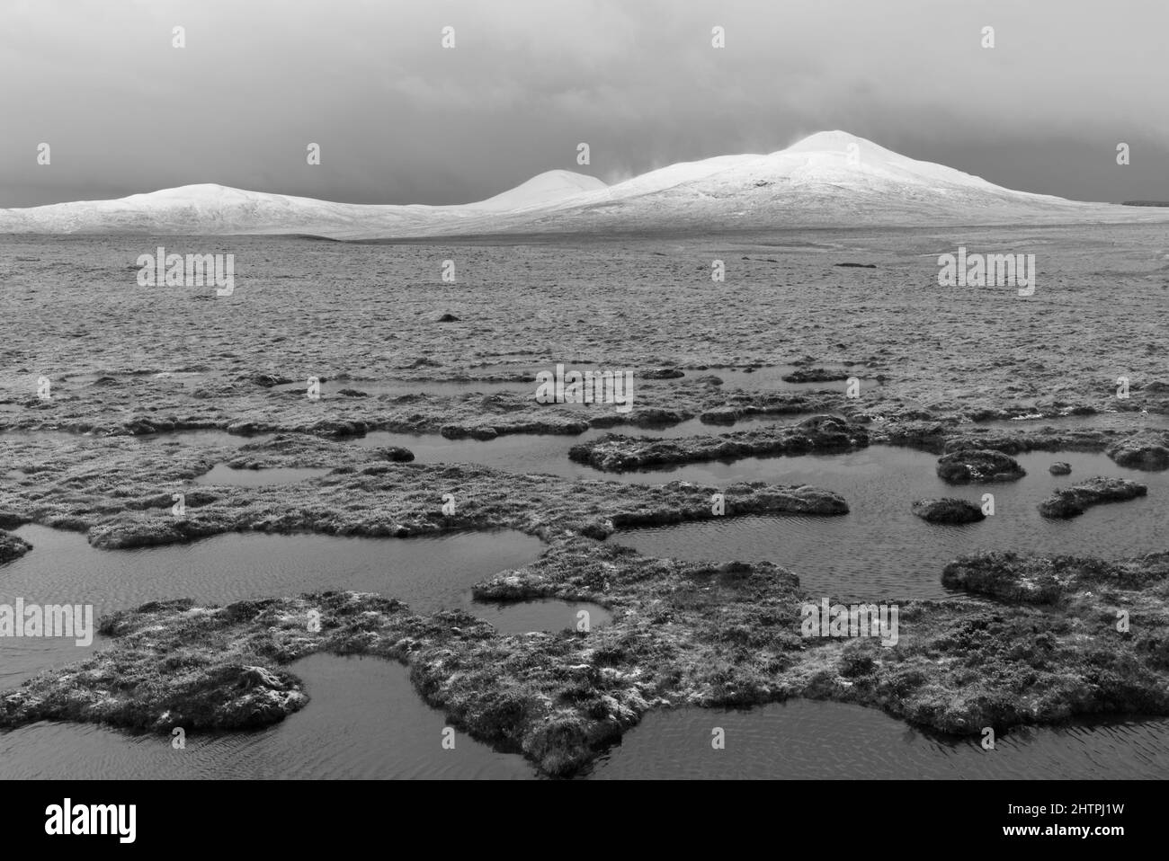 Karge Winterlandschaft von Flow Country, Sutherland Stockfoto