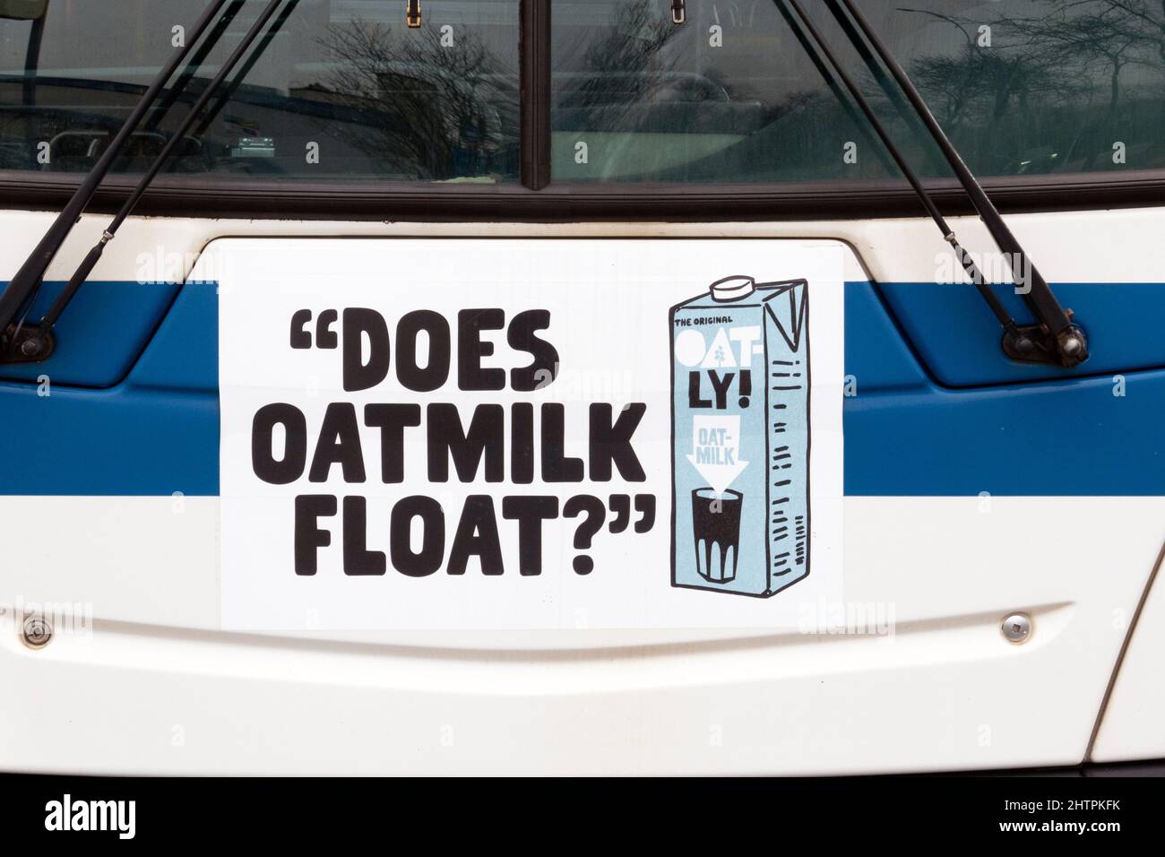 SCHWIMMT OAT-MILCH? Eine witzige, witzige, respektlos erscheinende Oatly Hafermilch-Anzeige auf der Vorderseite eines New York City-Busses in Queens New York City. Stockfoto