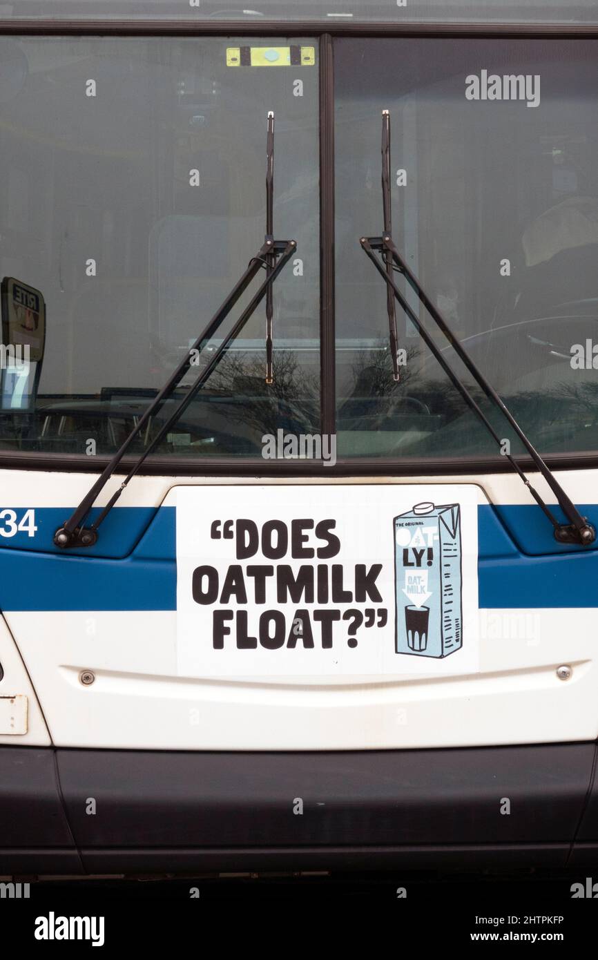 SCHWIMMT OAT-MILCH? Eine witzige, witzige, respektlos erscheinende Oatly Hafermilch-Anzeige auf der Vorderseite eines New York City-Busses in Queens New York City. Stockfoto